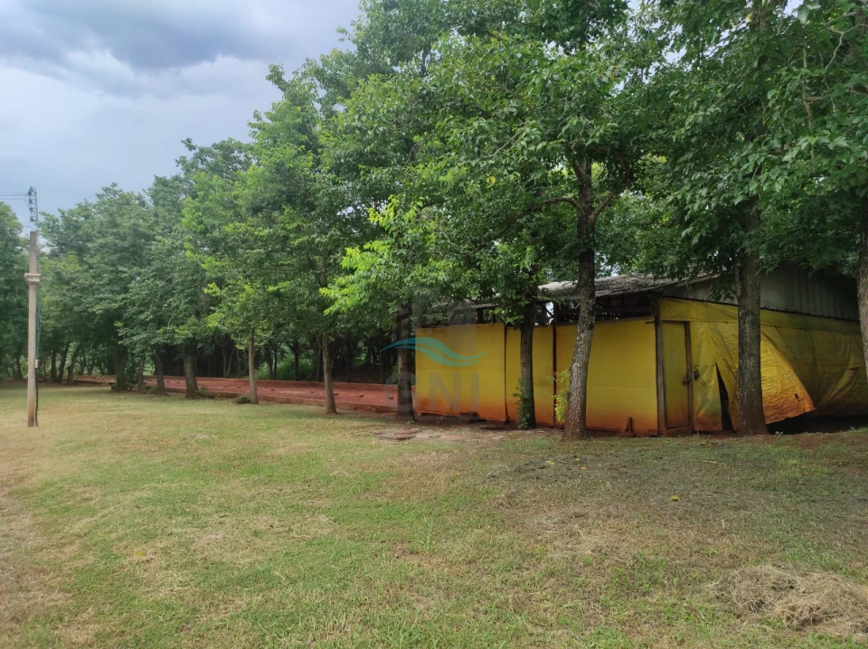 Imagens do imóveis CHACARA A VENDA - PATRIMÔNIO REGINA
