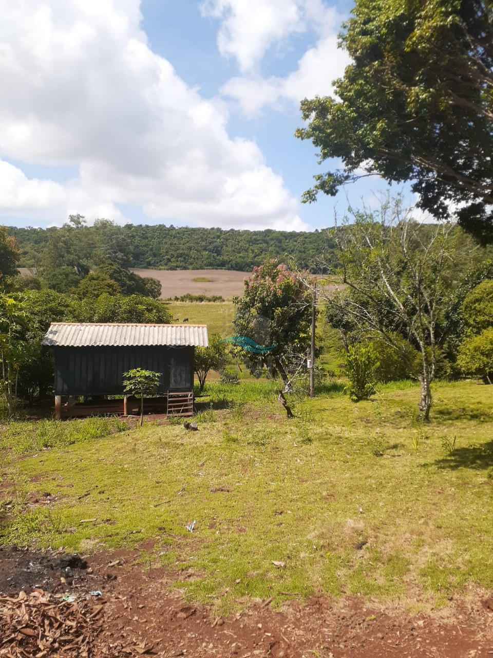CHACARA A VENDA - LIMOEIRO Imagens do imóveis CHACARA A VENDA - LIMOEIRO