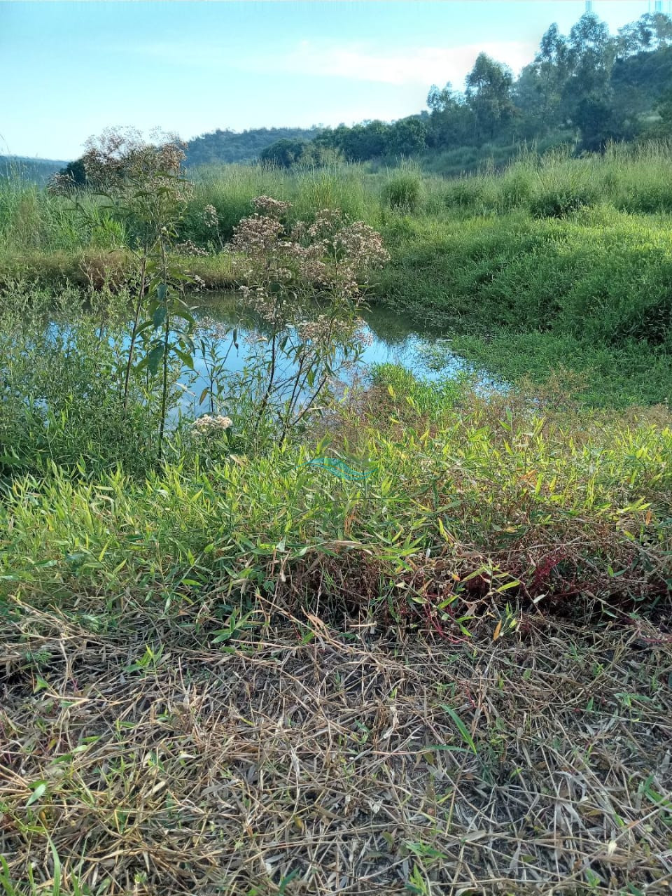 CHACARA A VENDA - DISTRITO DE MARAVILHA Imagens do imóveis CHACARA A VENDA - DISTRITO DE MARAVILHA