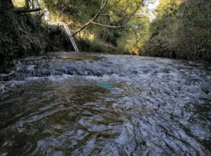 Imagens do imóveis CHACARA A VENDA - PATRIMÔNIO REGINA