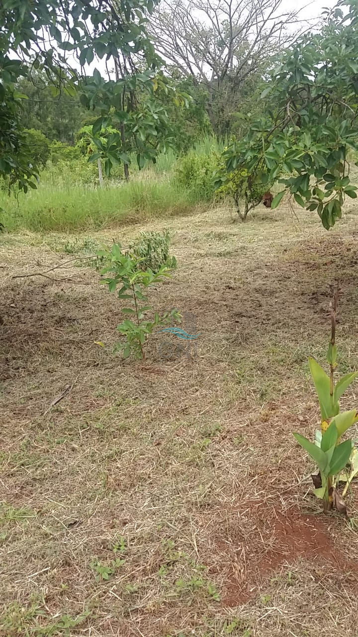 CHACARA A VENDA - DISTRITO DE MARAVILHA Imagens do imóveis CHACARA A VENDA - DISTRITO DE MARAVILHA