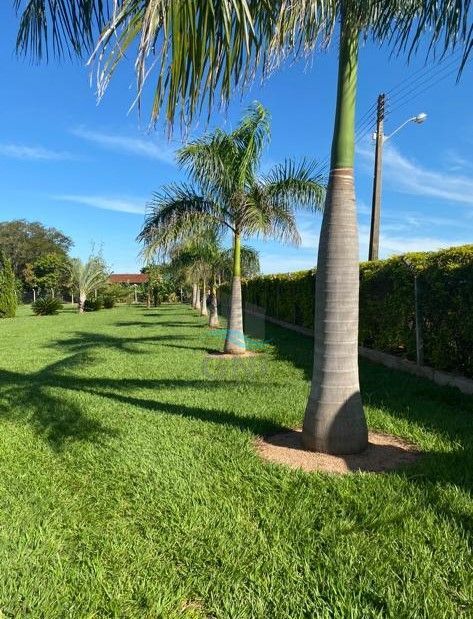 CHACARA A VENDA - PRIMEIRO DE MAIO Imagens do imóveis CHACARA A VENDA - PRIMEIRO DE MAIO