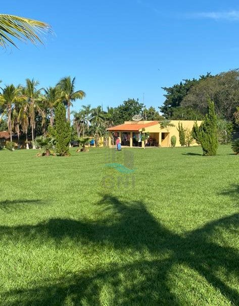 CHACARA A VENDA - PRIMEIRO DE MAIO Imagens do imóveis CHACARA A VENDA - PRIMEIRO DE MAIO