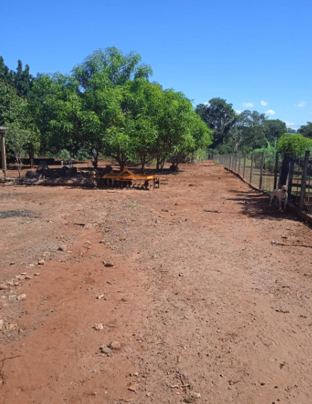 Imagens do imóveis Chácara  a venda - Recanto da Felicidade