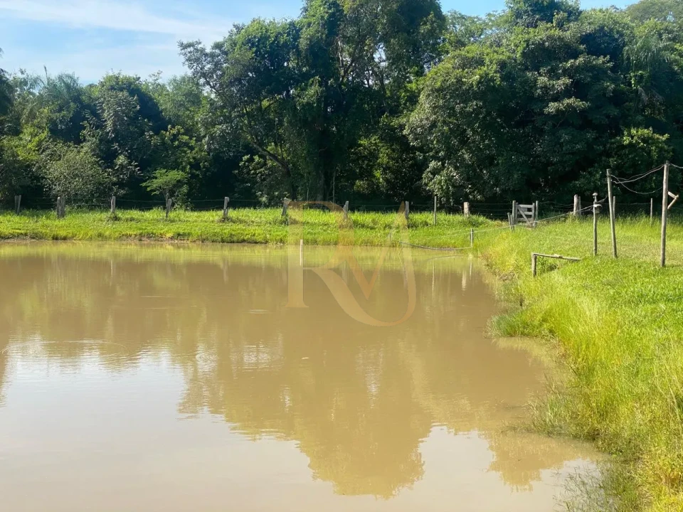 Imagens do imóveis VENDO CHARACA PALMEIRAS FUNDO COM O RIO