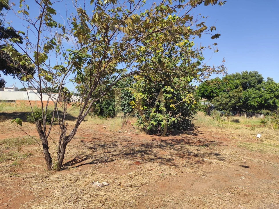 Imagens do imóveis Terreno á venda - Jardim Mansur