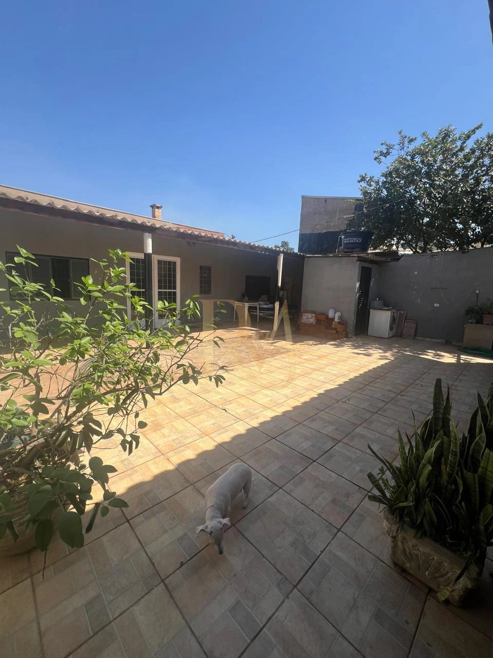 Imagens do imóveis IMOVEL A VENDA COM 03 QUARTOS E EDICULA NOS FUNDOS