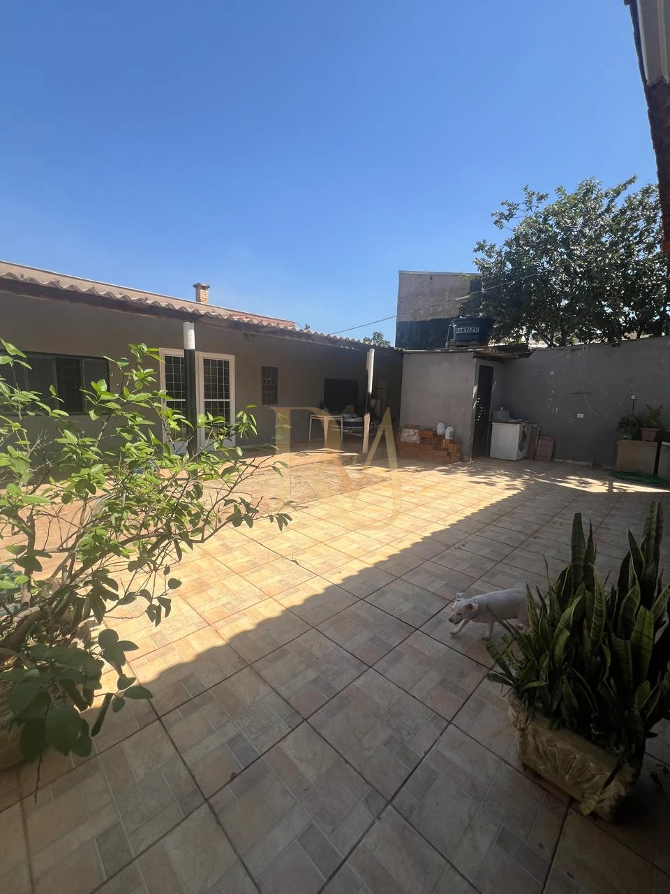 Imagens do imóveis IMOVEL A VENDA COM 03 QUARTOS E EDICULA NOS FUNDOS