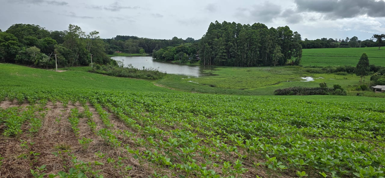 Imagens do imóveis TERRENO ERNESTINA
