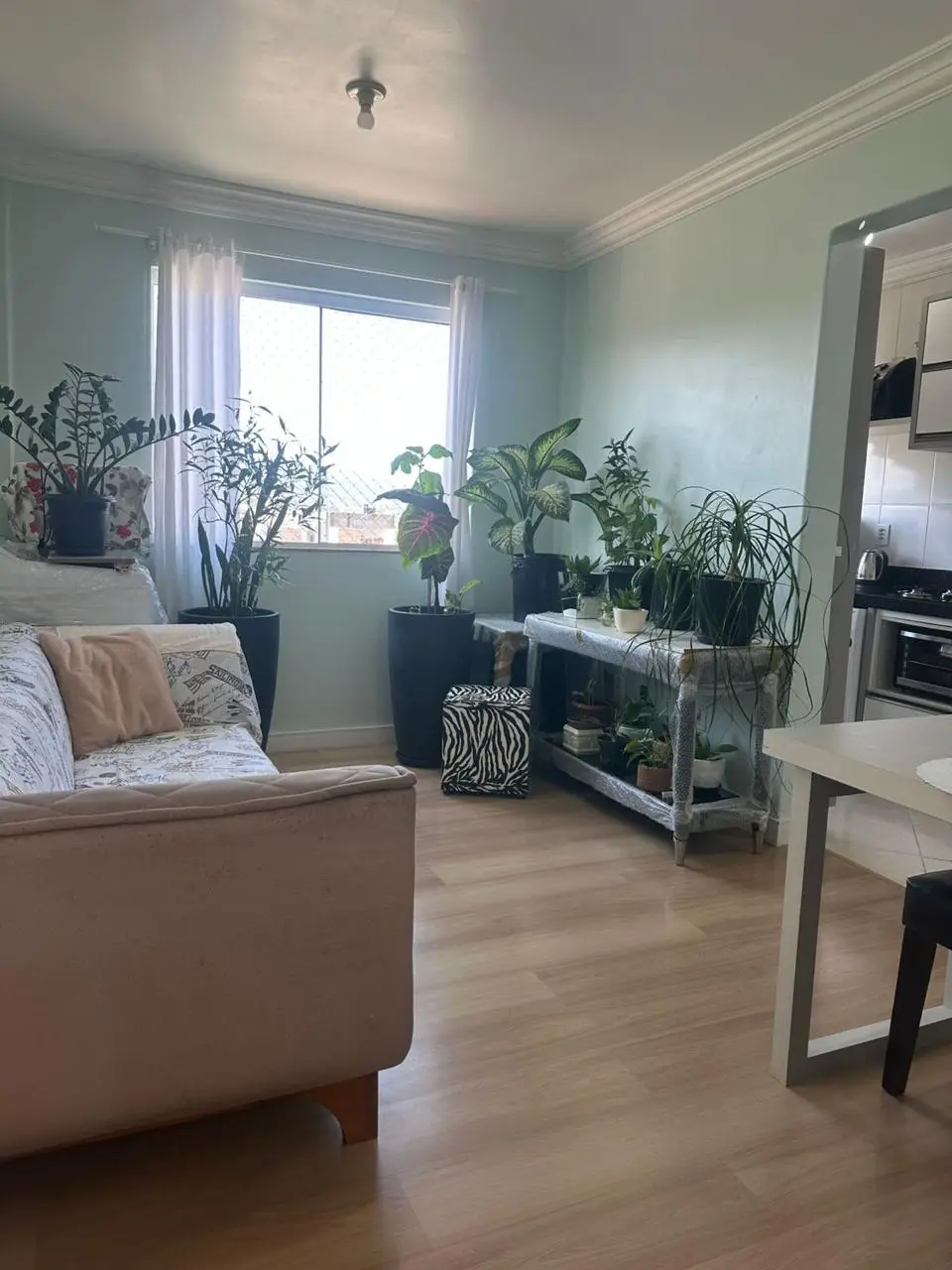 Imagens do imóveis Apartamento Á Venda Apartamento Morretes Itapema Sc Itapema
