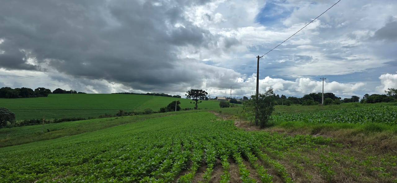 Imagens do imóveis TERRENO ERNESTINA