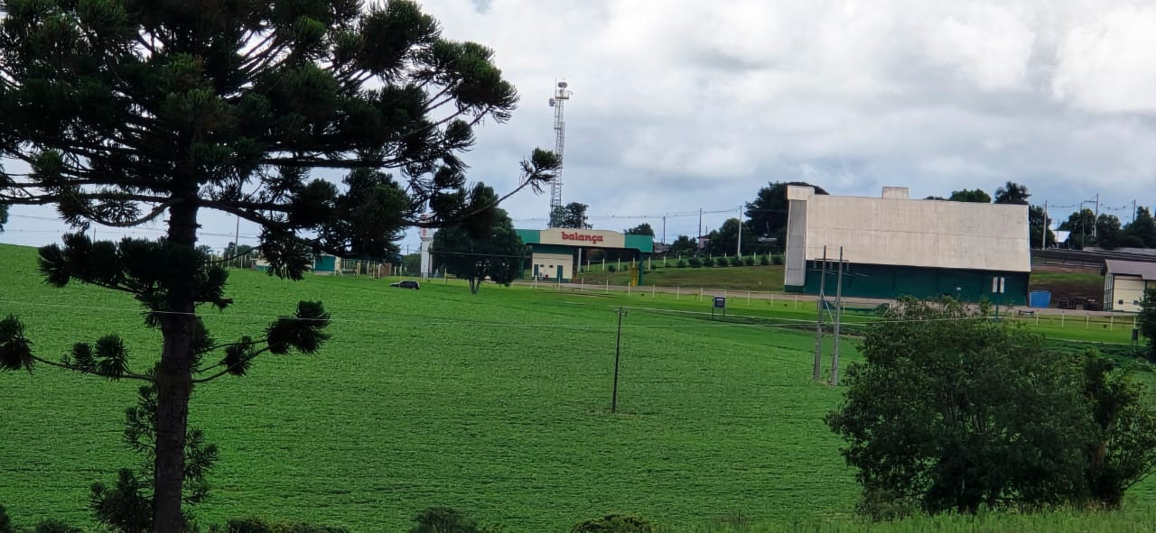 Imagens do imóveis TERRENO ERNESTINA