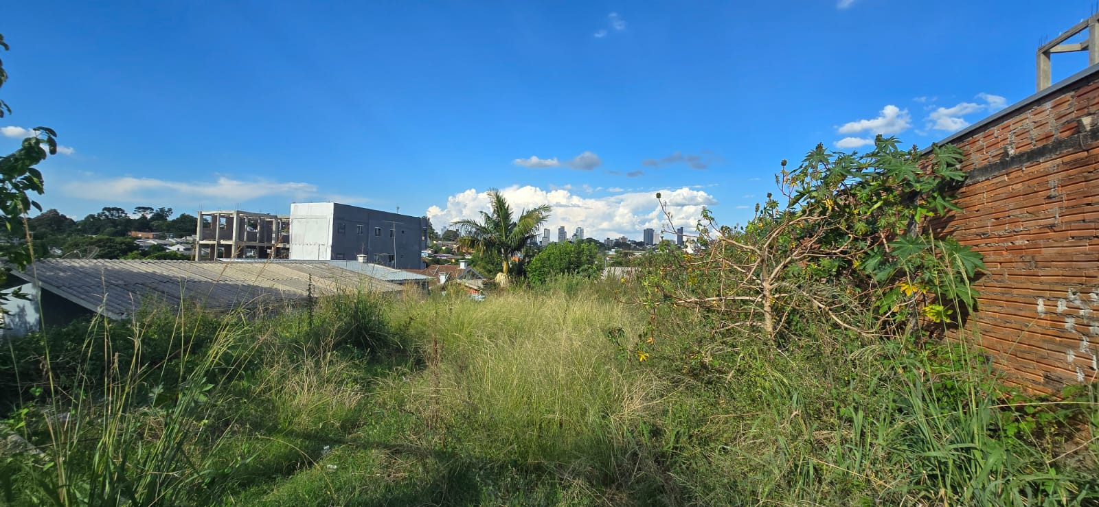 Imagens do imóveis TERRENO 10X30 OPERÁRIA