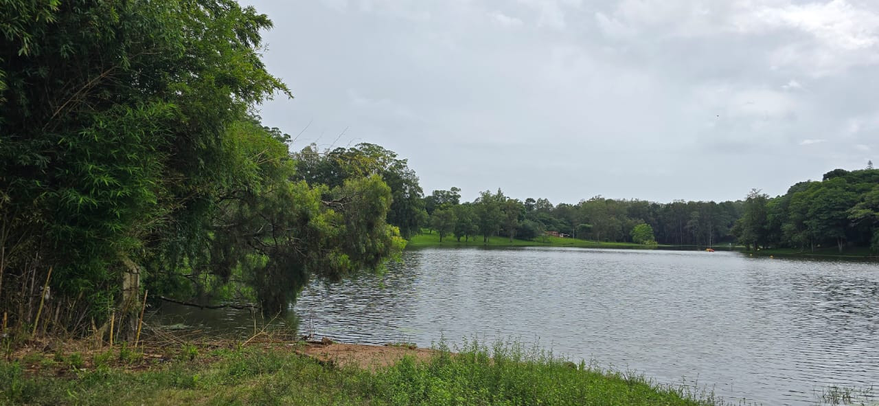 Imagens do imóveis TERRENO ERNESTINA