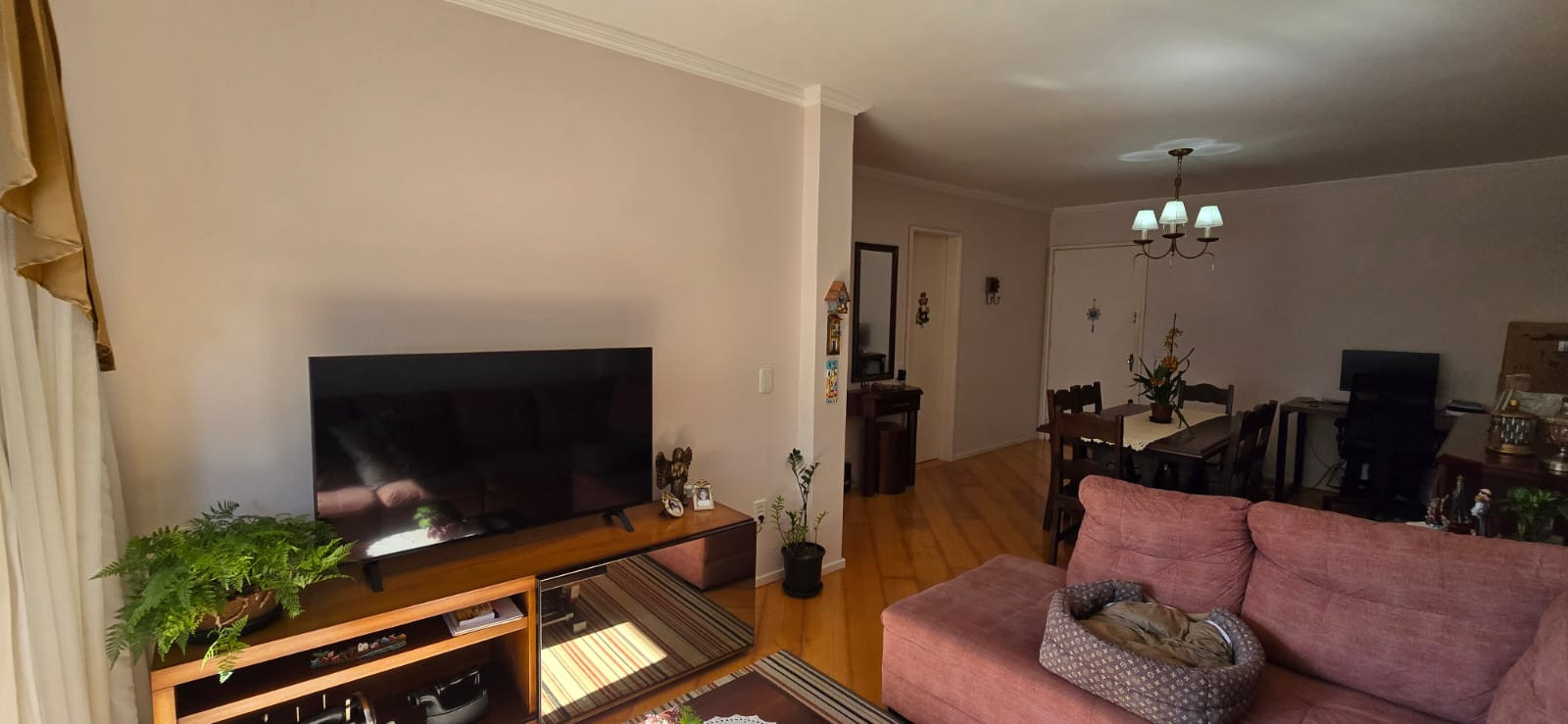 Imagens do imóveis APARTAMENTO 2 DORMITORIOS CENTRO ED VIANNA DO CASTELO