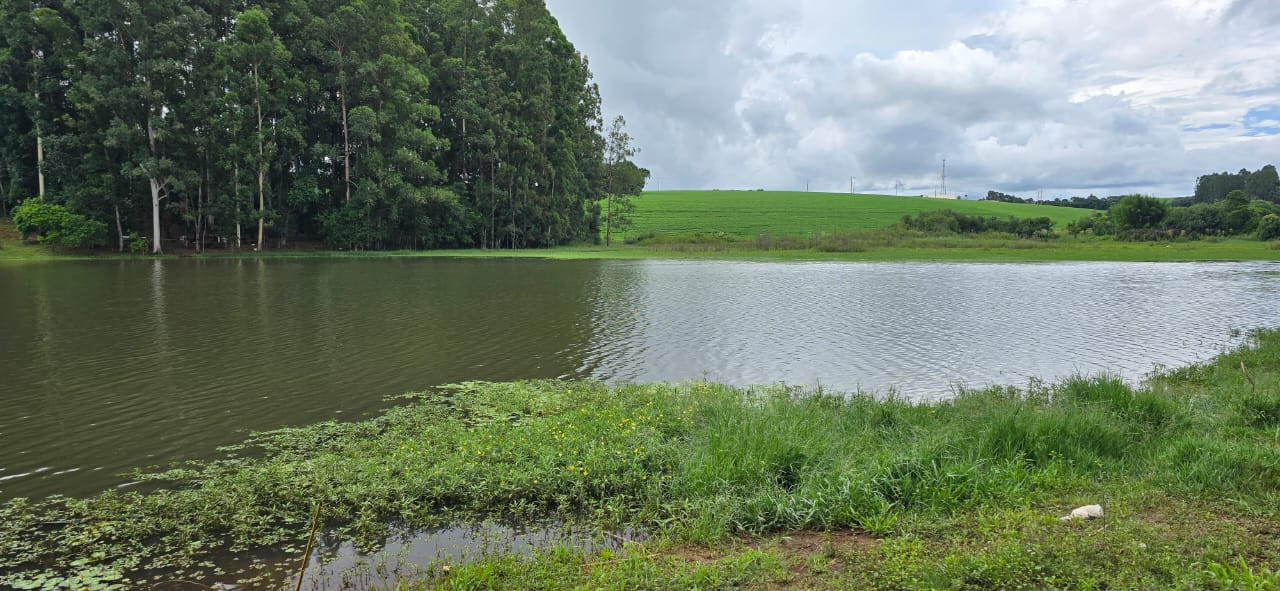 Imagens do imóveis TERRENO ERNESTINA