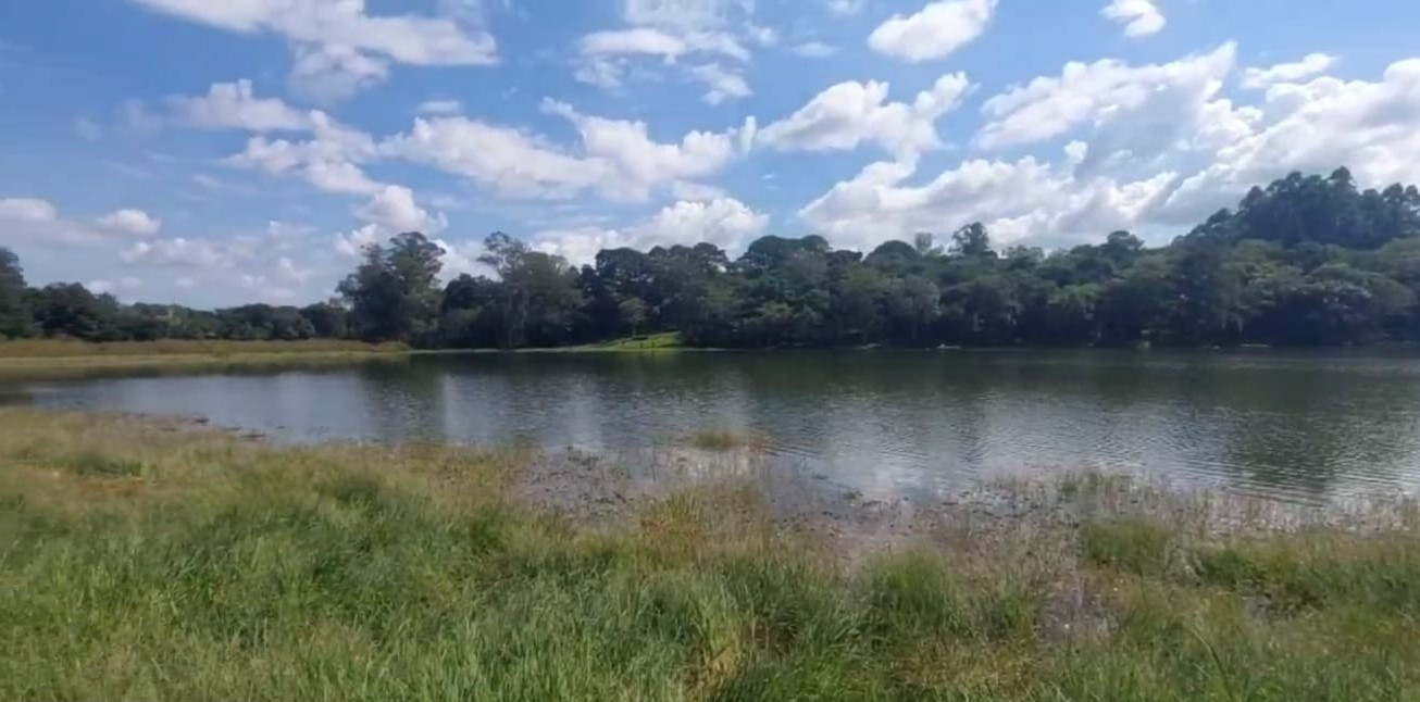 Imagens do imóveis TERRENO BARRAGEM DE ERNESTINA