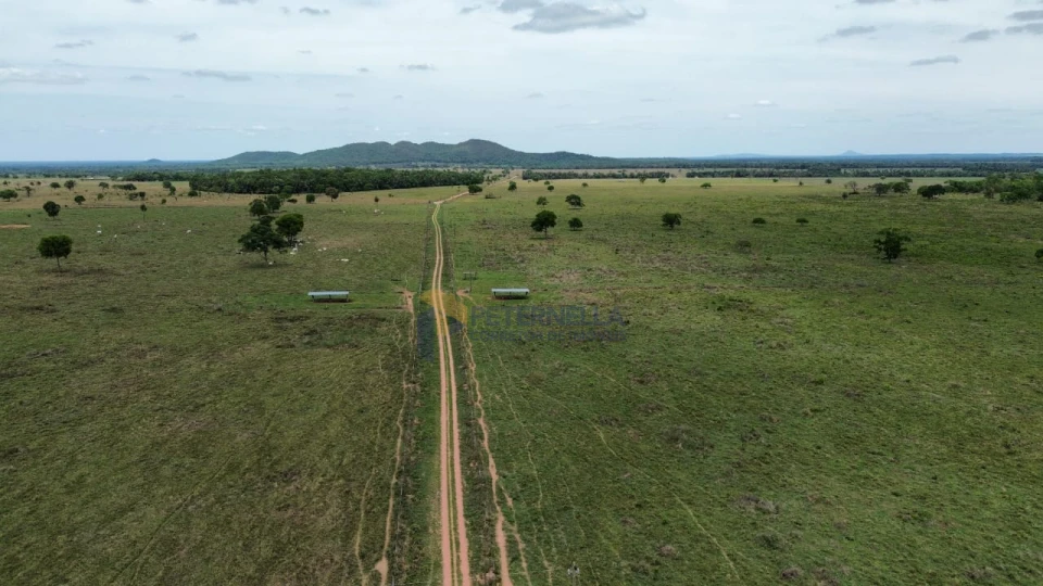 Imagens do imóveis Fazenda/Sítios/Chácaras À Venda Santo Antônio De Leverger Santo Antônio Do Leverger