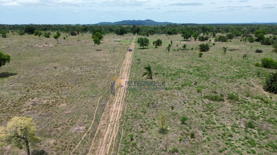 Imagens do imóveis Fazenda/Sítios/Chácaras À Venda Santo Antônio De Leverger Santo Antônio Do Leverger