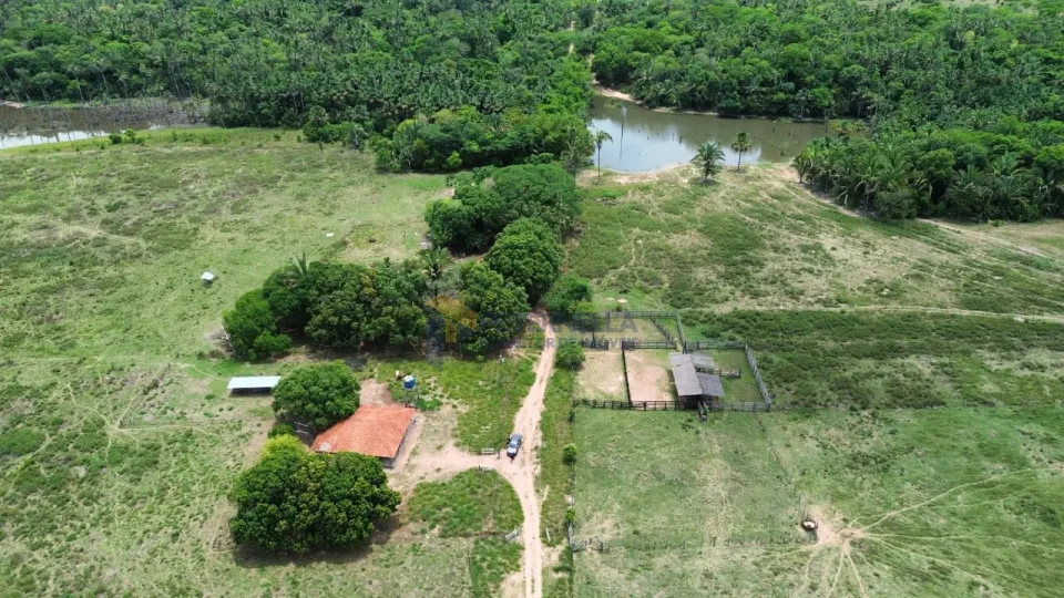 Imagens do imóveis Fazenda/Sítios/Chácaras À Venda Santo Antônio De Leverger Santo Antônio Do Leverger