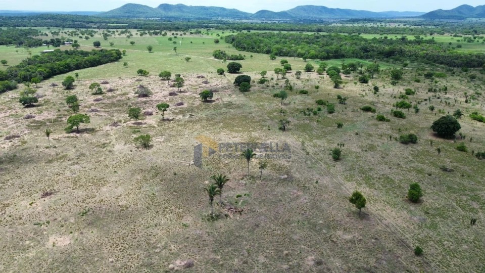 Imagens do imóveis Fazenda/Sítios/Chácaras À Venda Santo Antônio De Leverger Santo Antônio Do Leverger