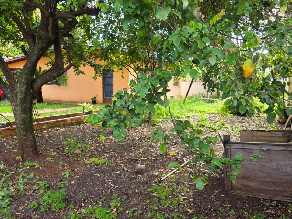 Imagens do imóveis Casa para alugar no Jardim São Paulo - 3 Quartos, sala, cozinha