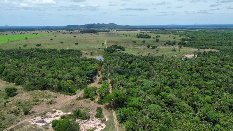 Imagens do imóveis Fazenda/Sítios/Chácaras À Venda Santo Antônio De Leverger Santo Antônio Do Leverger