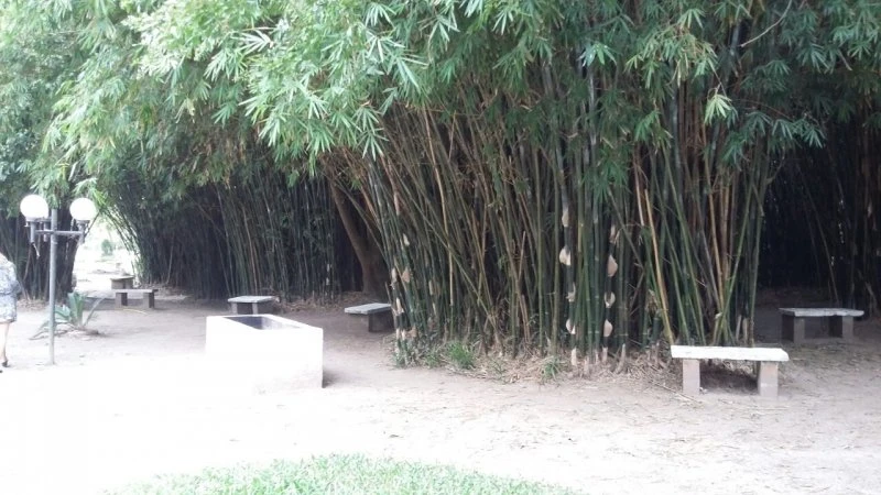 Imagens do imóveis 