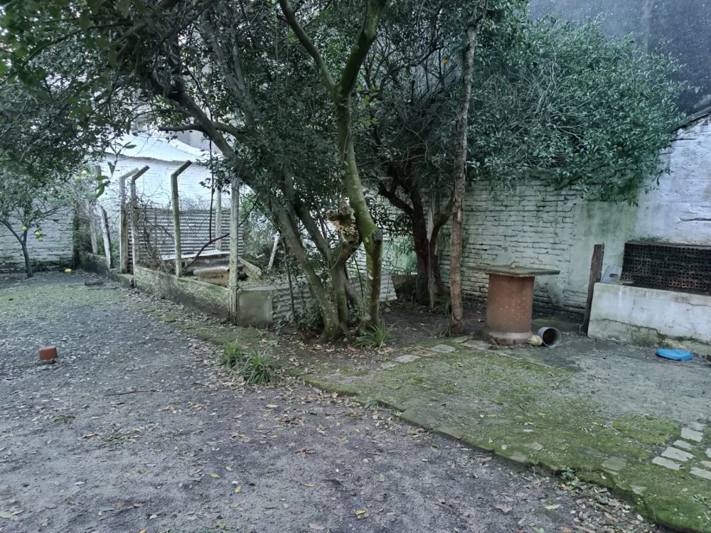 Imagens do imóveis 