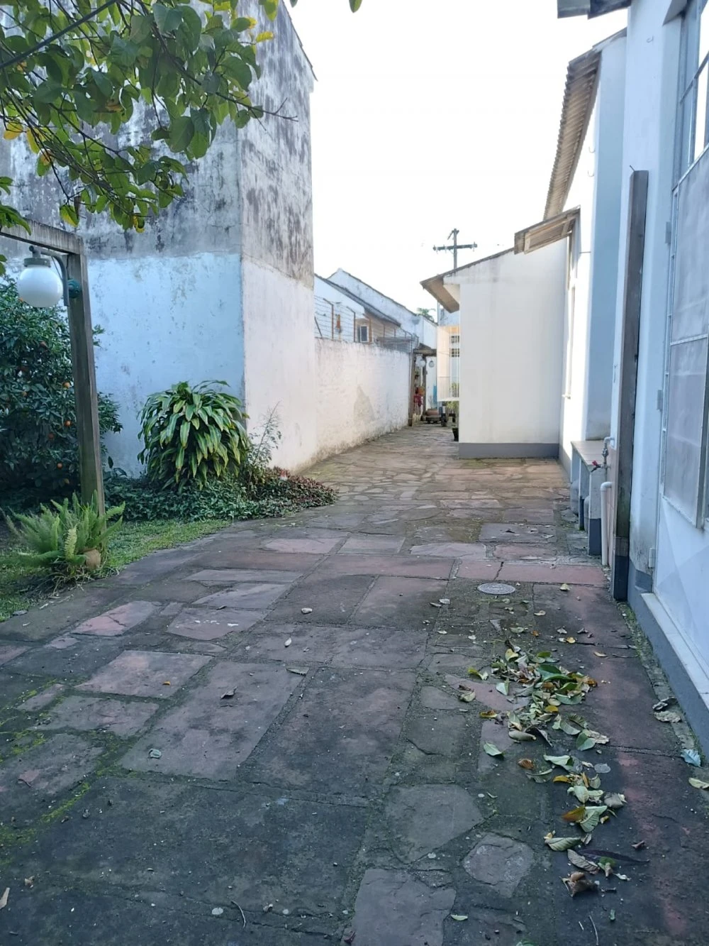 Imagens do imóveis 