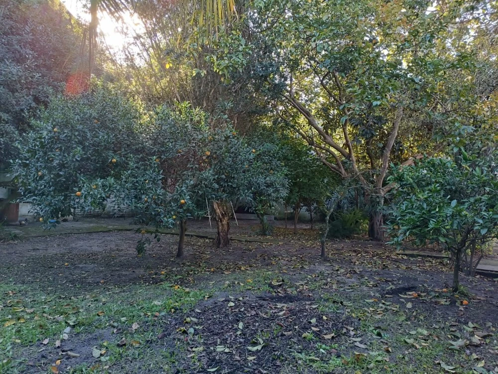 Imagens do imóveis 
