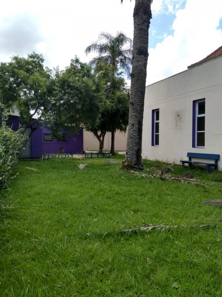Imagens do imóveis 