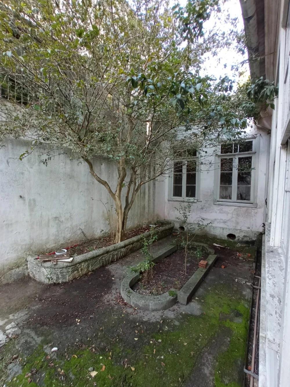 Imagens do imóveis Próxima ao Colégio Gonzaga