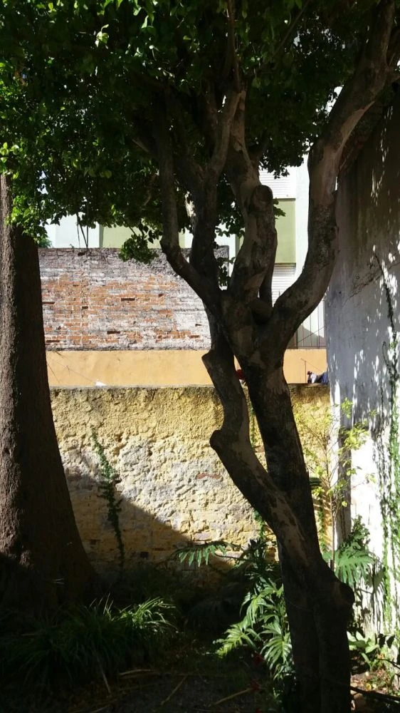 Imagens do imóveis 