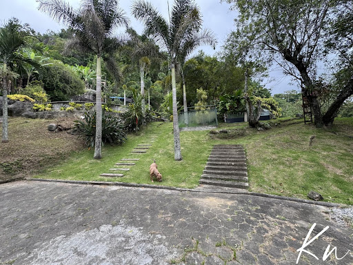 Imagens do imóveis Chácara em Guaratiba  -  Rio de Janeiro