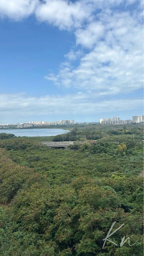 Imagens do imóveis Excelente apartamento para alugar Viure - Ilha Pura Rio De Janeiro
