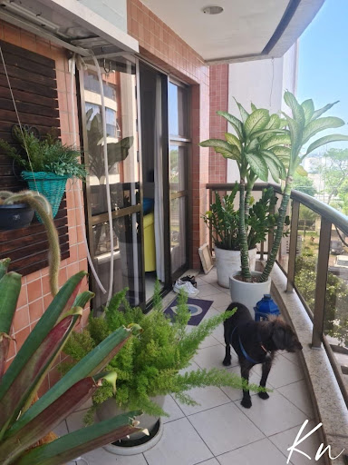 Imagens do imóveis Apartamento para locação Barra da Tijuca