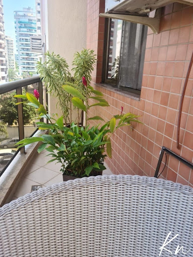 Imagens do imóveis Apartamento para locação Barra da Tijuca