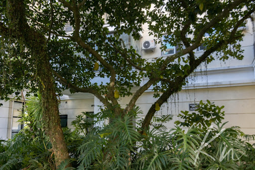 Imagens do imóveis Apartamento em Recreio dos Bandeirantes  -  Rio de Janeiro