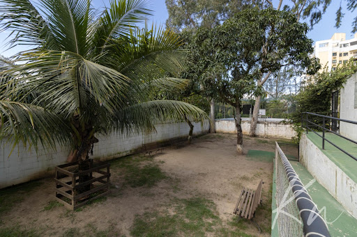 Imagens do imóveis Apartamento em Recreio dos Bandeirantes  -  Rio de Janeiro