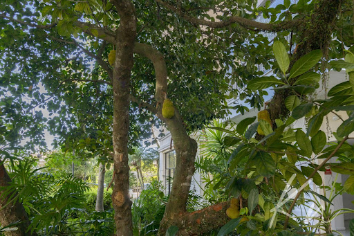 Imagens do imóveis Apartamento em Recreio dos Bandeirantes  -  Rio de Janeiro