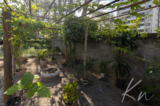 Imagens do imóveis Apartamento em Recreio dos Bandeirantes  -  Rio de Janeiro