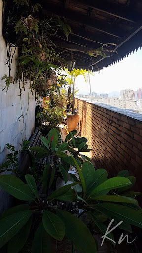 Imagens do imóveis Magnifica cobertura 360 com 4 quartos  área de lazer privativa 