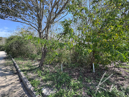 Imagens do imóveis Terreno Residencial em Guaratiba  -  Rio de Janeiro