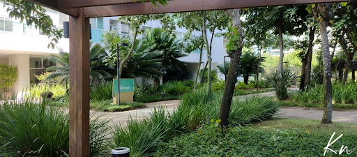 Imagens do imóveis Apartamentoá venda e para locação Barra da Tijuca
