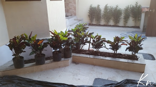Imagens do imóveis Casa para locação Vargem Pequena