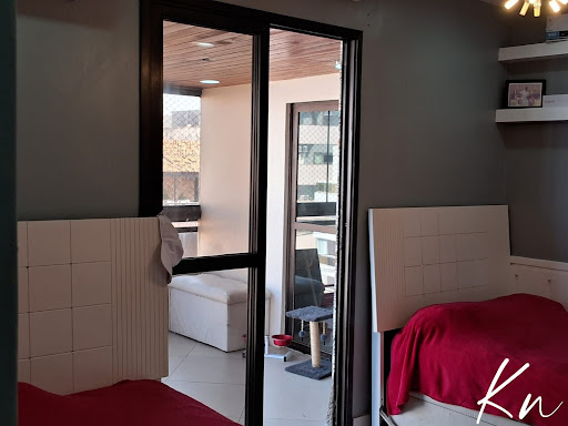 Imagens do imóveis Apartamento para locação Recreio dos Bandeirantes