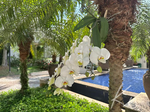 Imagens do imóveis Apartamento Para Alugar Barra Da Tijuca Rio De Janeiro