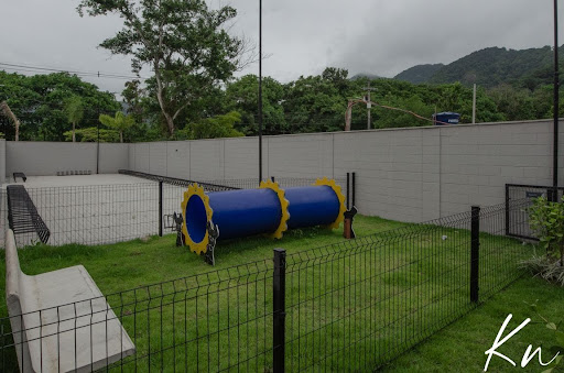 Imagens do imóveis Apartamento para locação Vargem Grande