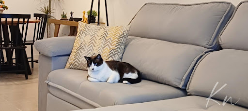 Imagens do imóveis Excelente apartamento amplo e andar alto - Blue - Barra da Tijuca